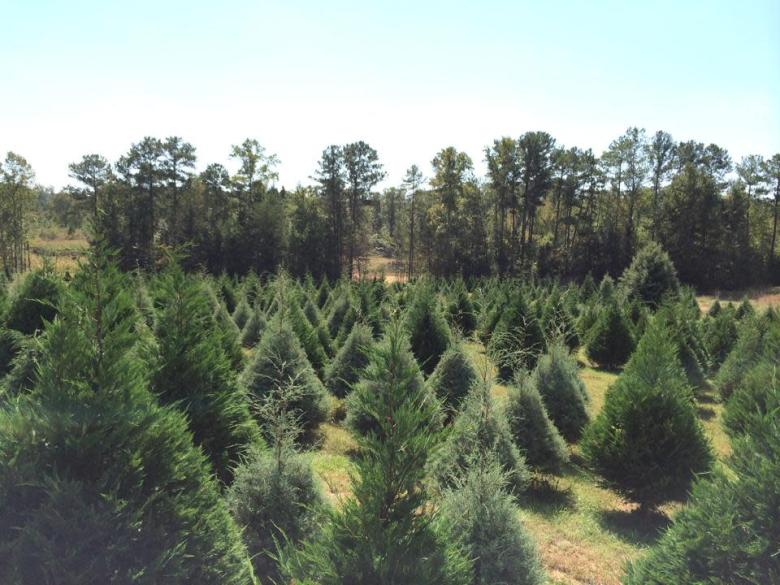 Where to Find the Stranger Things Filming Locations