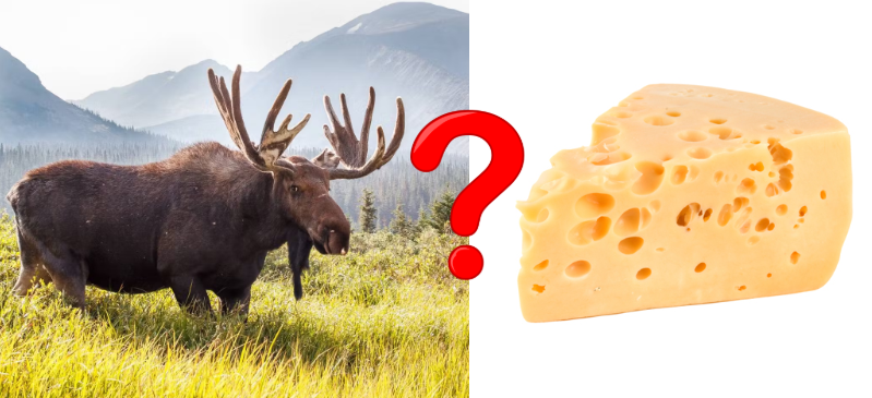 31 Facts You Won't Believe Are Real