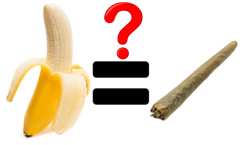 The Banana-Smoking Hoax of 1967. Yes, You Read That Right