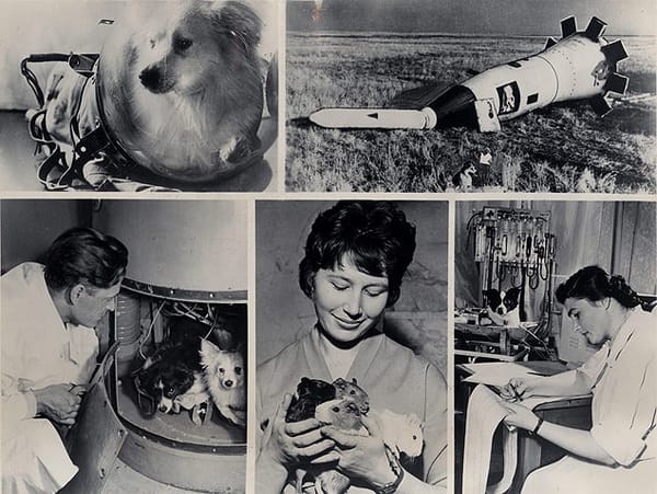 The Most Twisted Soviet Science Experiments Ever